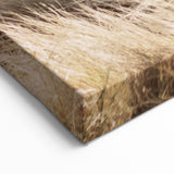 Summer Vibes Prints – Coastal Dune Grass Canvas Art