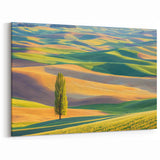 Rolling Fields Canvas Art - Vibrant Hills and Lone Tree Panorama