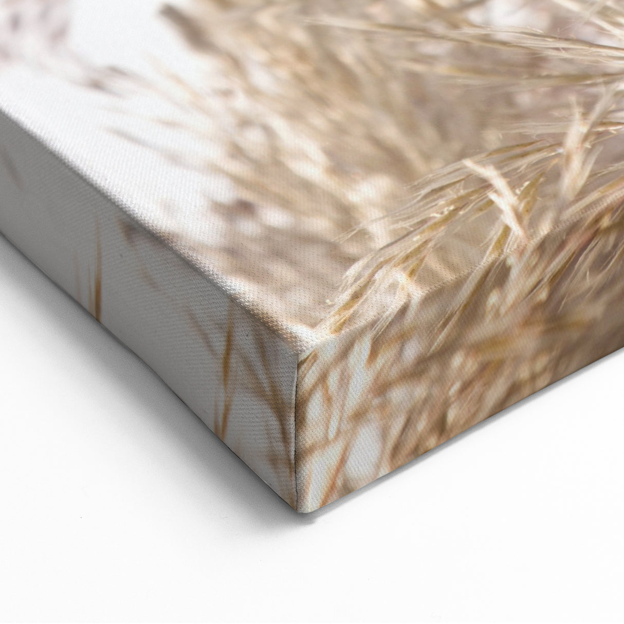 Summer Vibes Prints – Sunlit Golden Grass Canvas