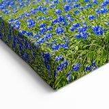 Field Landscape Wall Art - Blue Wildflower Hill With Lone Tree