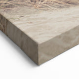 Summer Landscape Art - Coastal Sand Dune Wooden Path Canvas