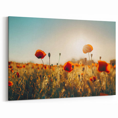 Scenic Fields Framed Art - Vibrant Poppy Field Landscape Decor