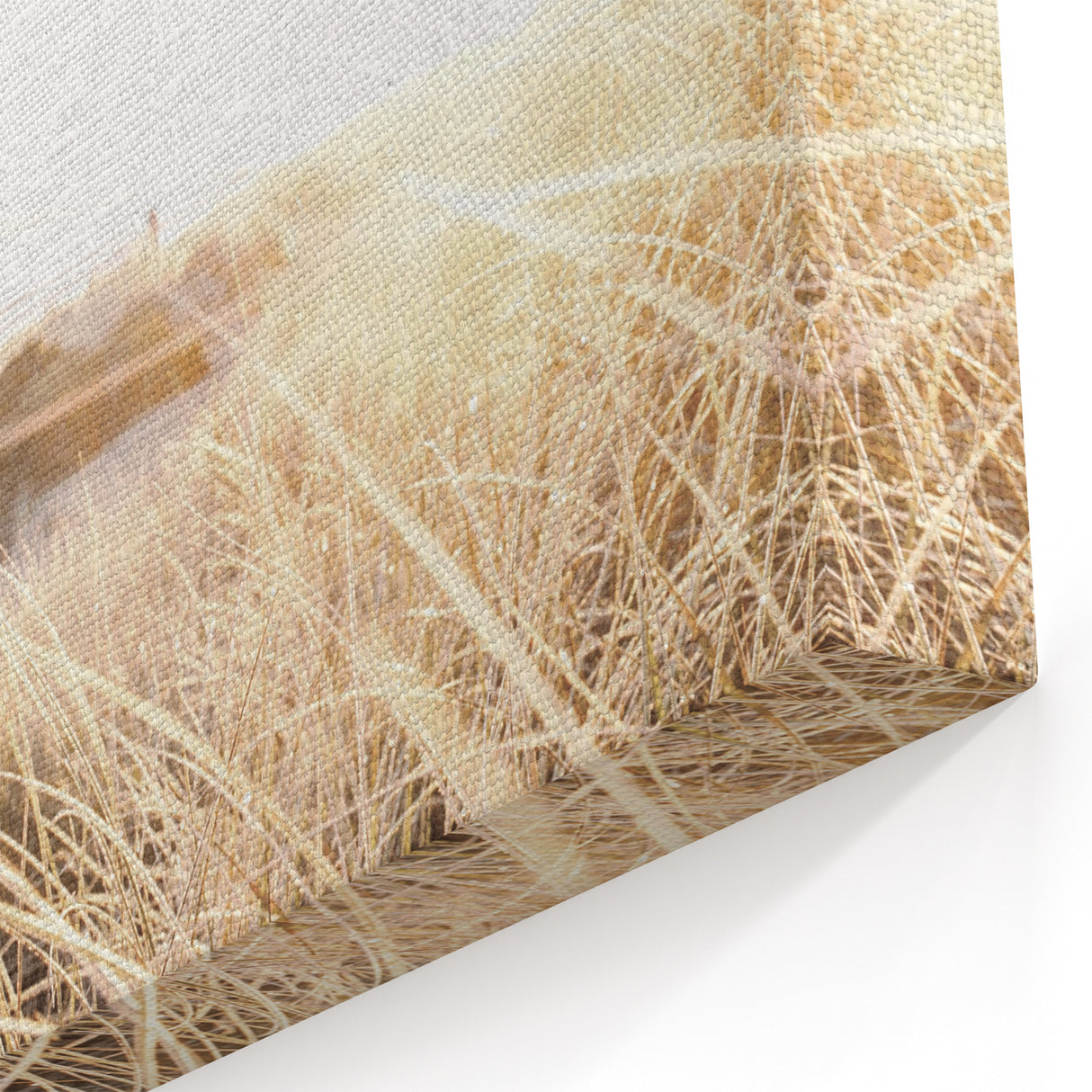 Summer Scenery Canvas - Golden Beach Grass Nature Landscape Art
