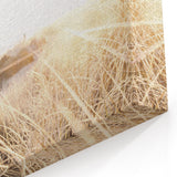 Summer Scenery Canvas - Golden Beach Grass Nature Landscape Art