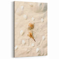 Beach Decor Prints - Seashells on Sand Coastal Summer Canvas