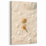 Beach Decor Prints - Seashells on Sand Coastal Summer Canvas