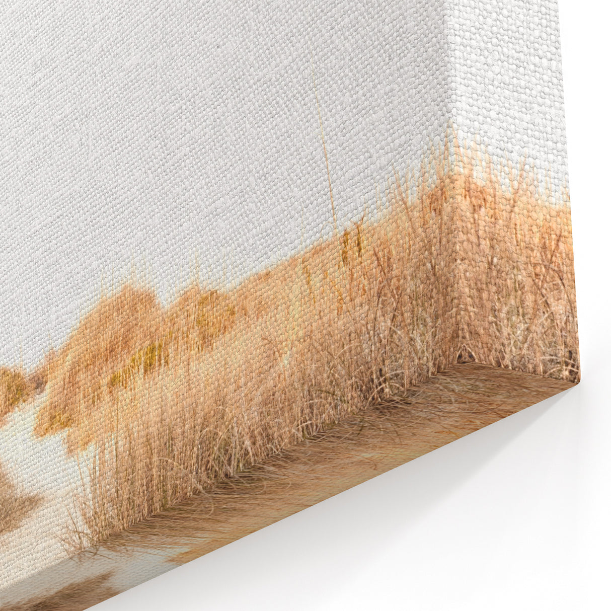 Summer Landscape Art - Sandy Path Coastal Nature Canvas Print