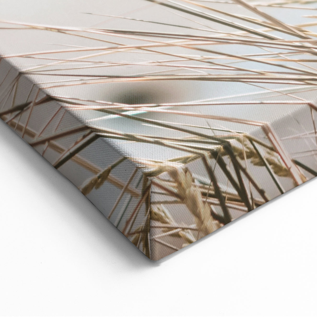 Summer Vibes Prints - Coastal Beach Grass Turquoise Canvas Art