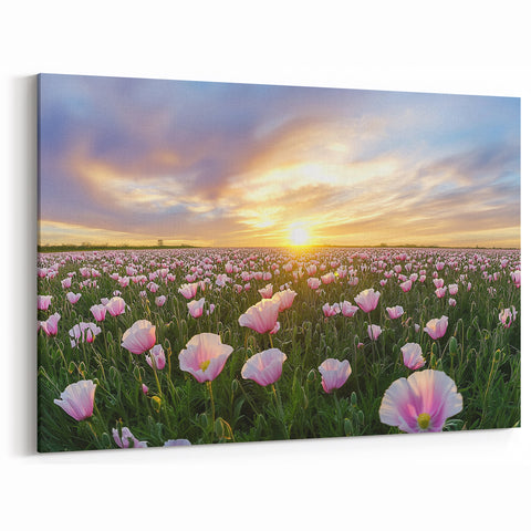 Field Landscape Wall Art - Scenic Fields at Sunset Canvas Print