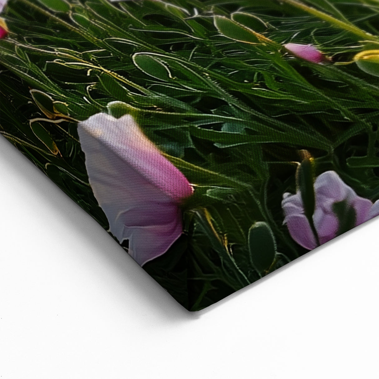 Field Landscape Wall Art - Scenic Fields at Sunset Canvas Print