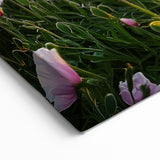 Field Landscape Wall Art - Scenic Fields at Sunset Canvas Print