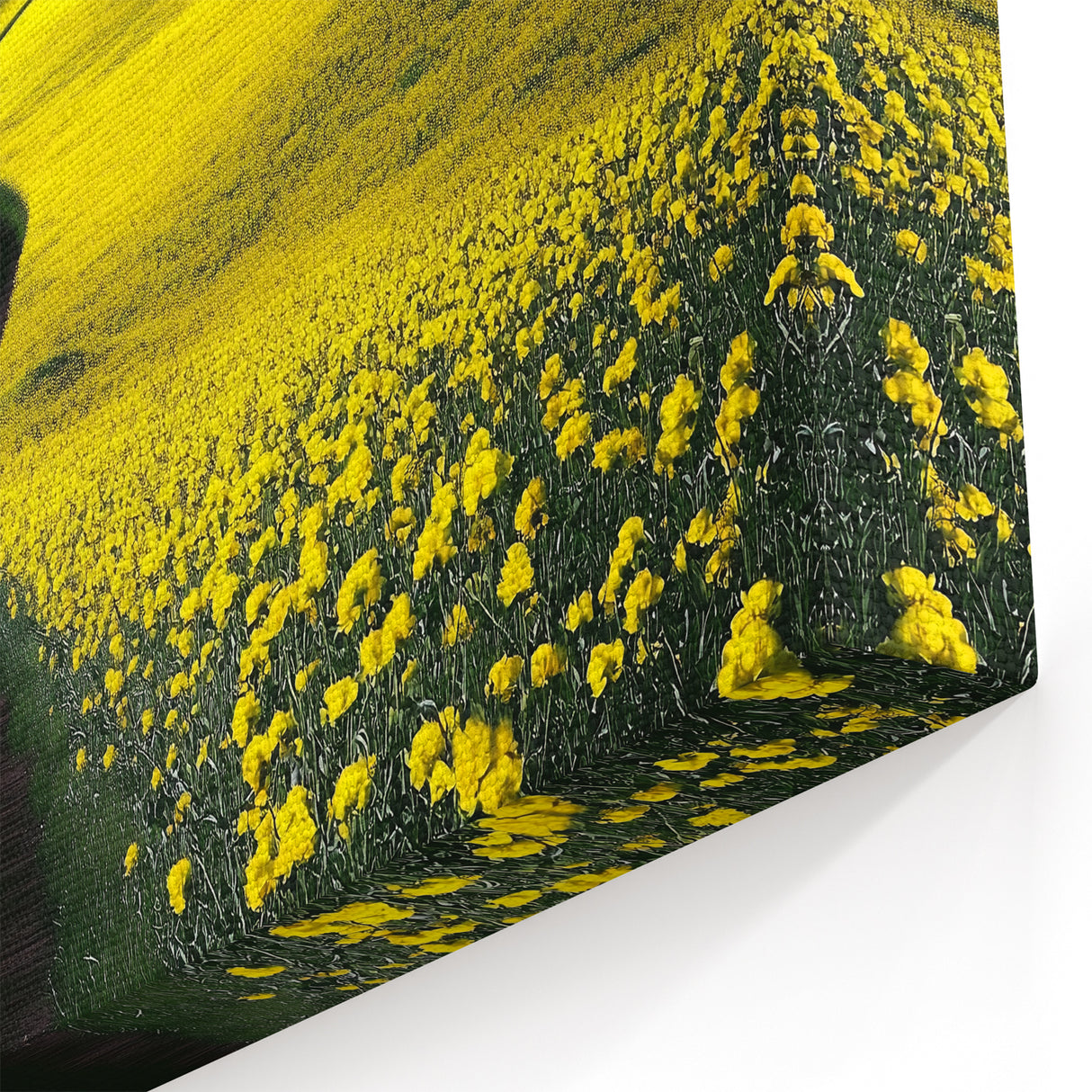 Scenic Fields Framed Art - Yellow Blooming Hills Landscape