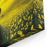 Scenic Fields Framed Art - Yellow Blooming Hills Landscape