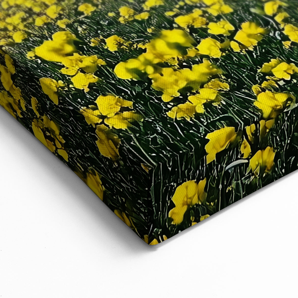 Scenic Fields Framed Art - Yellow Blooming Hills Landscape