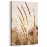 Summer Landscape Art - Golden Sunlight on Wild Grasses Canvas