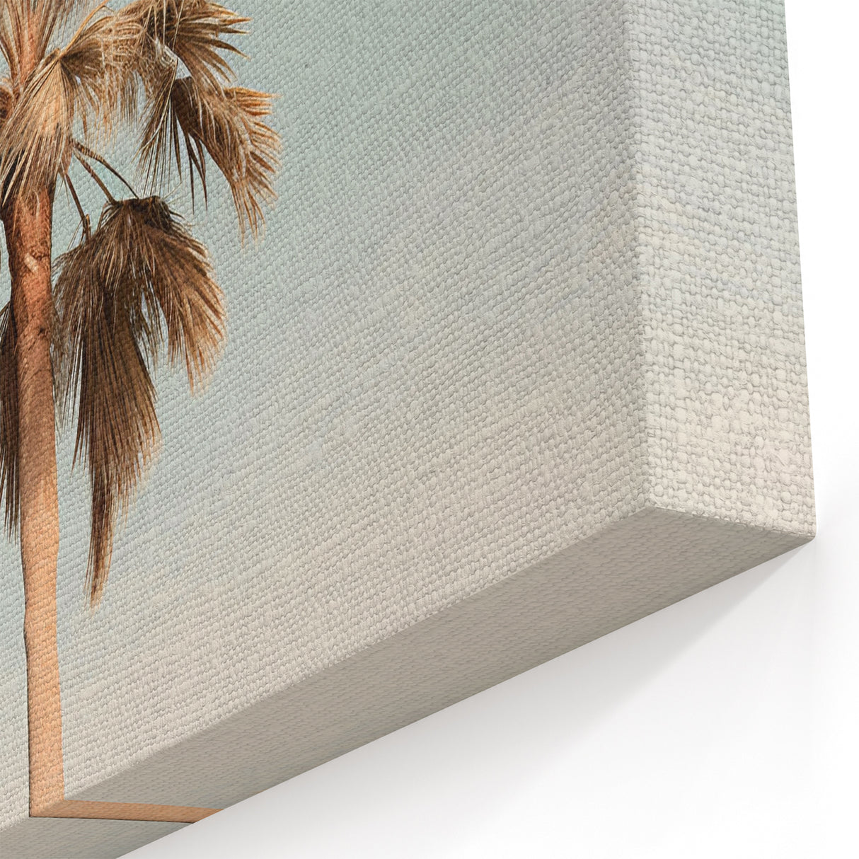 Tropical Wall Art - Palm Tree Summer Landscape
