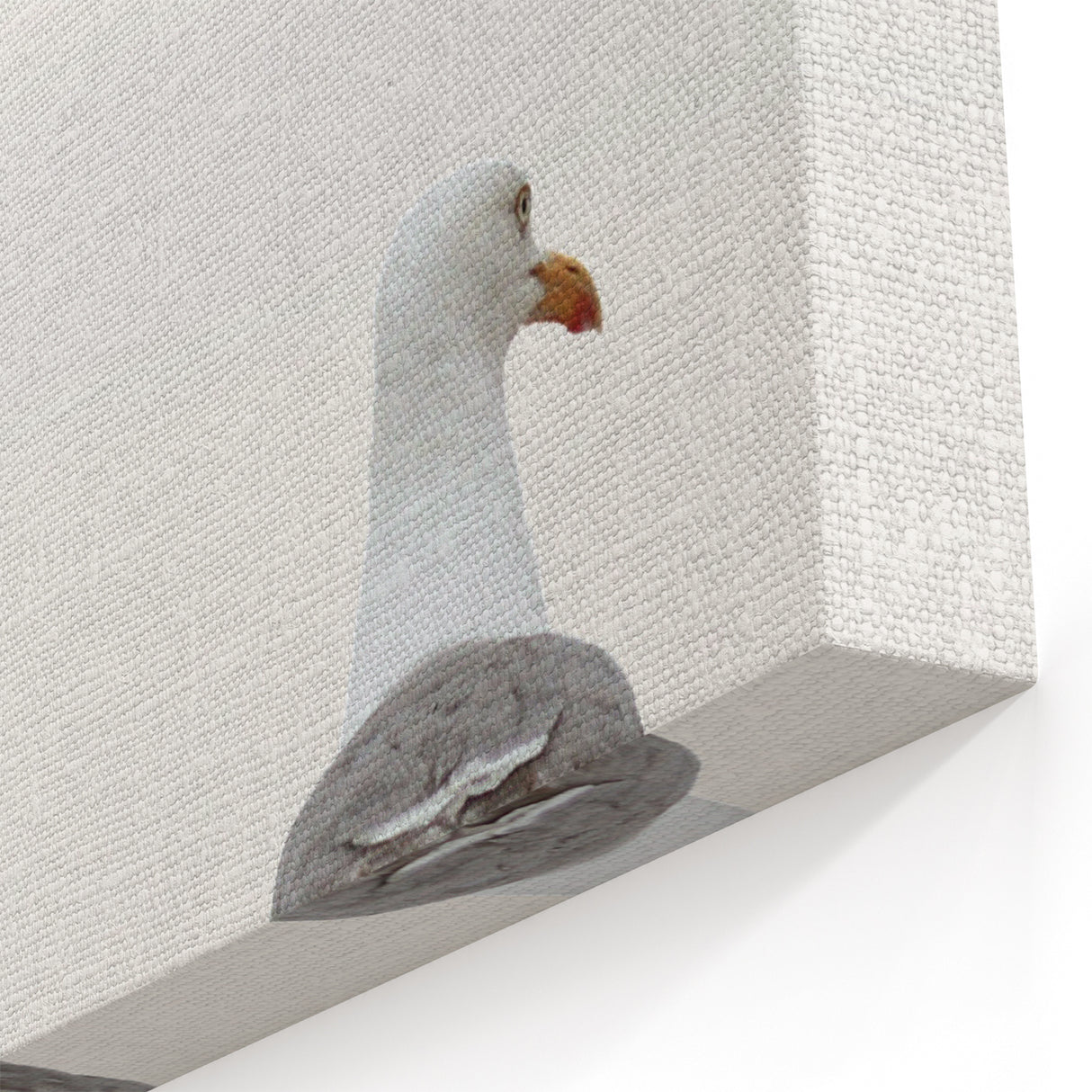 Beach Decor Prints - Seagulls Coastal Summer ArtZ