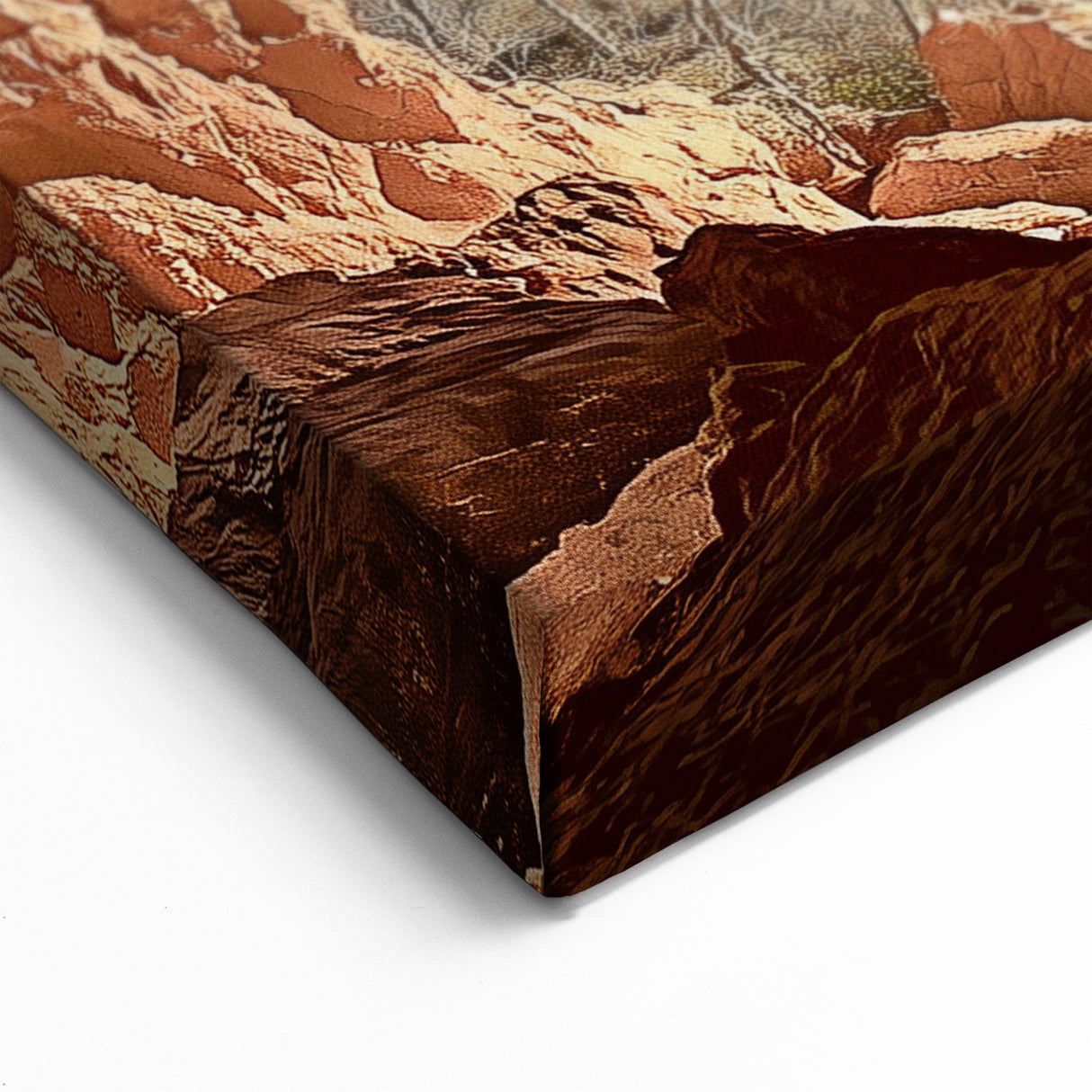 Sunburst Desert Valley Cactus Wall Art - Stunning Landscape Canvas Prints