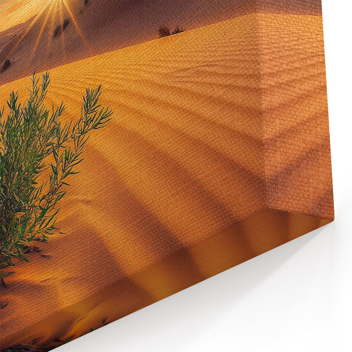 Golden Sunrise Desert Cactus Wall Art - Stunning Sand Dunes Landscape Art