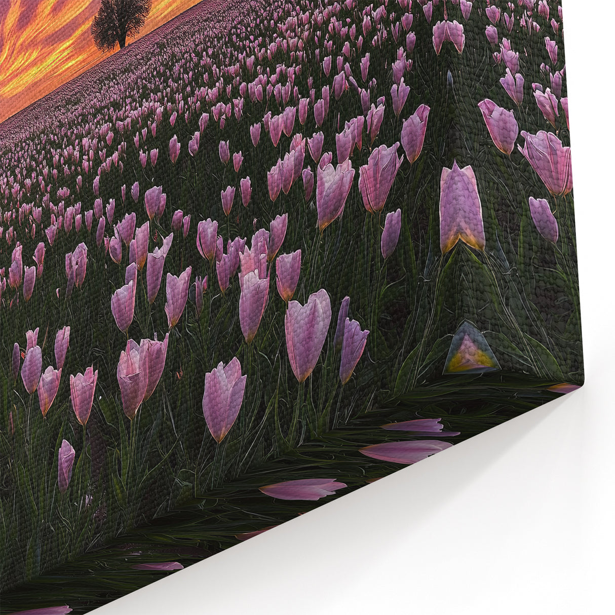 Vibrant Tulip Field at Sunset – Fields Panorama Wall Decor