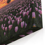 Vibrant Tulip Field at Sunset – Fields Panorama Wall Decor