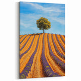 Golden Lavender Fields with Lone Tree – Scenic Fields Framed Art