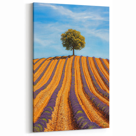 Golden Lavender Fields with Lone Tree – Scenic Fields Framed Art