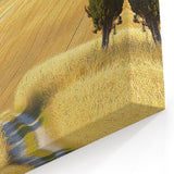 Path Through Golden Fields with Cypress Trees – Countryside Fields Wall Hanging