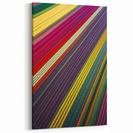 Vibrant Multicolor Flower Fields – Fields Panorama Wall Decor