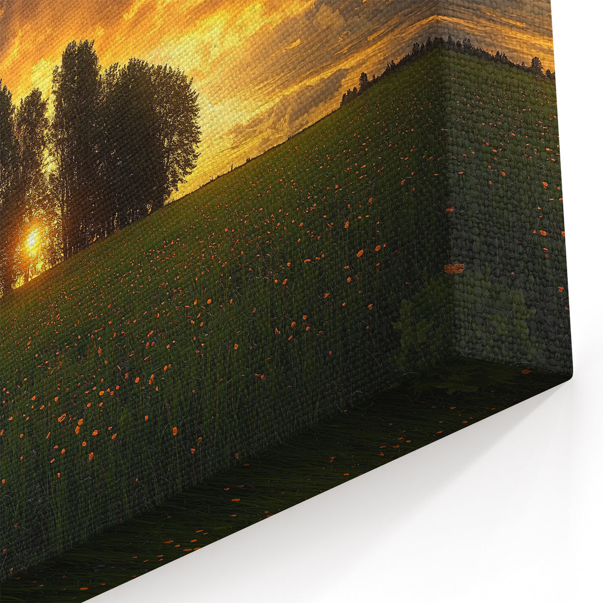 Sunset Glow Over Field and Trees – Fields Landscape Acrylic Prints