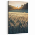 Golden Wheat Field at Sunrise – Serene Fields Art Print