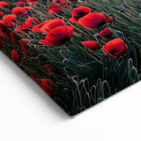 Vibrant Poppy Field at Sunrise – Rolling Fields Canvas Art