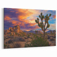 Sunset Over Desert Landscape with Joshua Trees – Fields Panorama Wall Decor