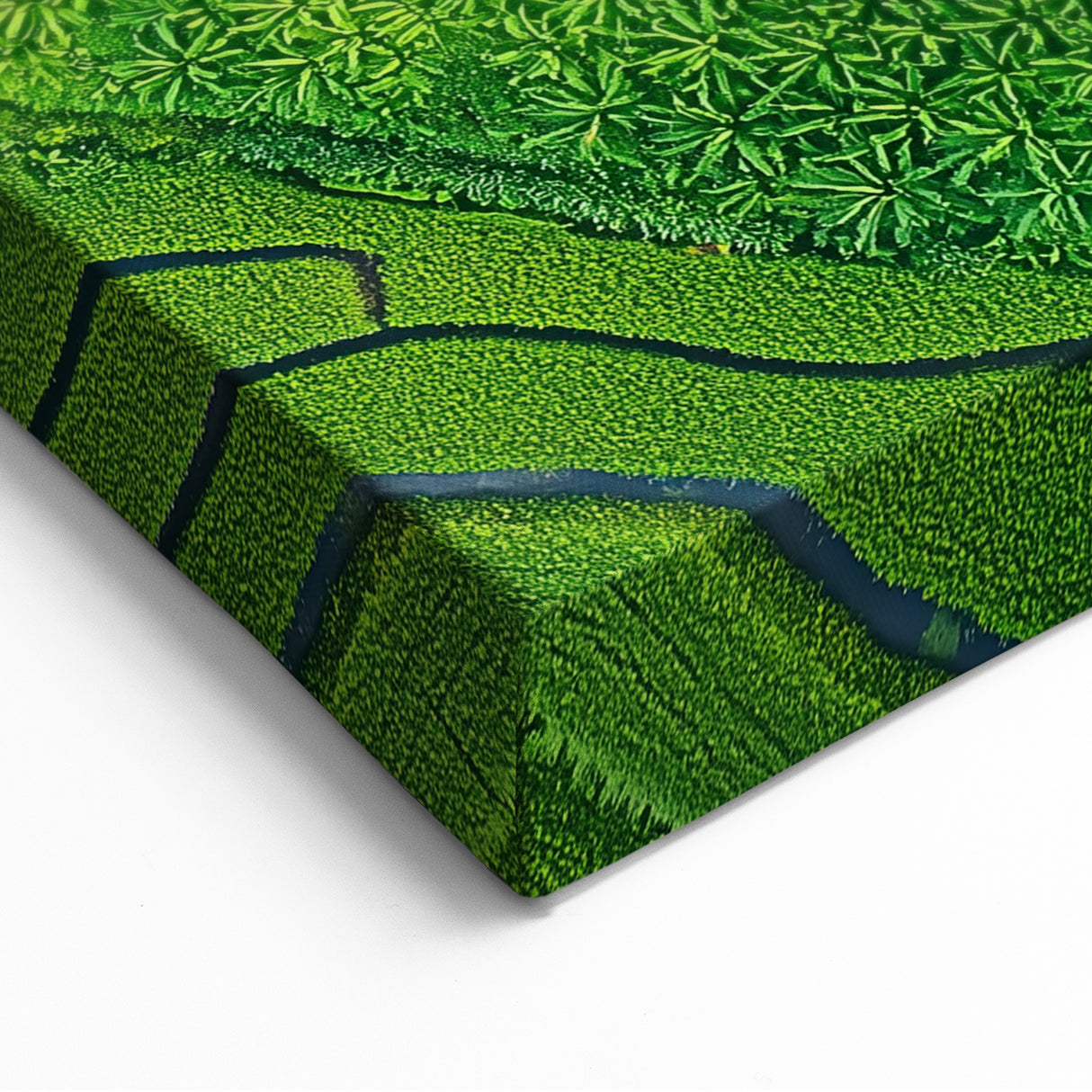 Rolling Fields Canvas Art - Green Terraced Landscapes