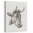 Romanticism Art Print: Head of a Cow - Timeless Sketch by Jean Bernard