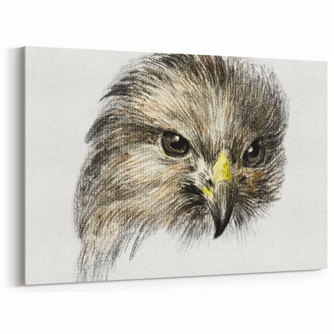 Head of a Bird of Prey by Jean Bernard - Romantic Wildlife Art Print