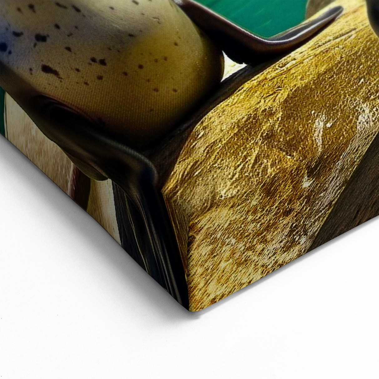 Polar Wildlife Art - Seals and Penguins in Antarctic Serenity