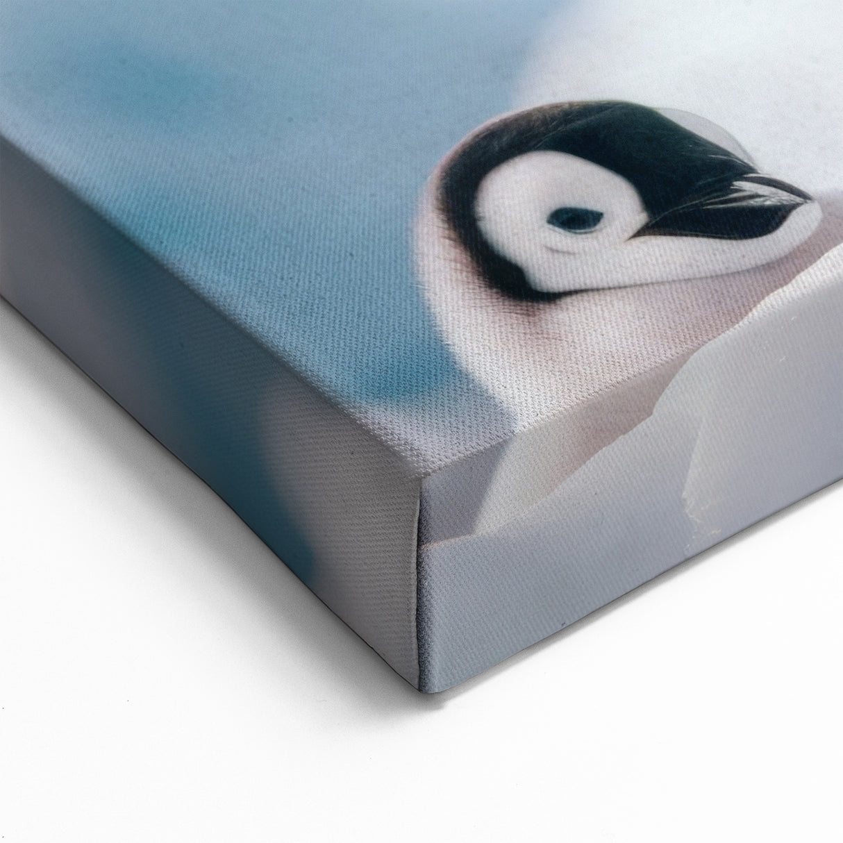Penguin Art Prints - Adorable Emperor Penguins in Antarctica