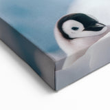 Penguin Art Prints - Adorable Emperor Penguins in Antarctica