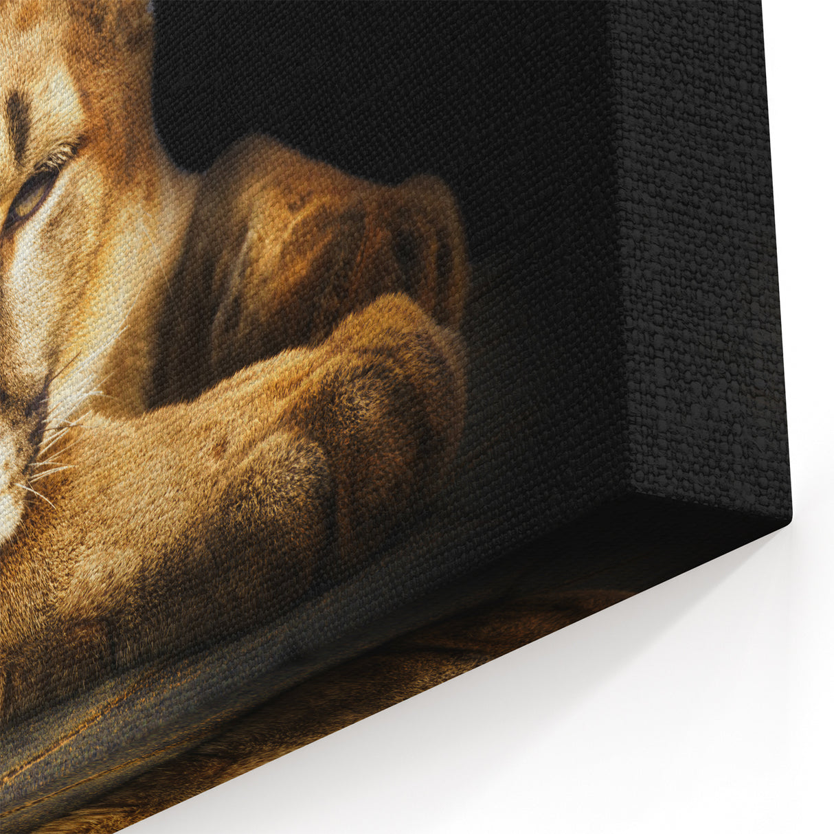 Elegant Cougar Wall Art - Stunning Cougar Canvas Print for Home Decor