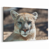 Cougar Canvas Art - Stunning Wildlife Print for Elegant Home Decor