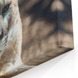 Cougar Canvas Art - Stunning Wildlife Print for Elegant Home Decor