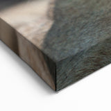 Cougar Canvas Art - Stunning Wildlife Print for Elegant Home Decor