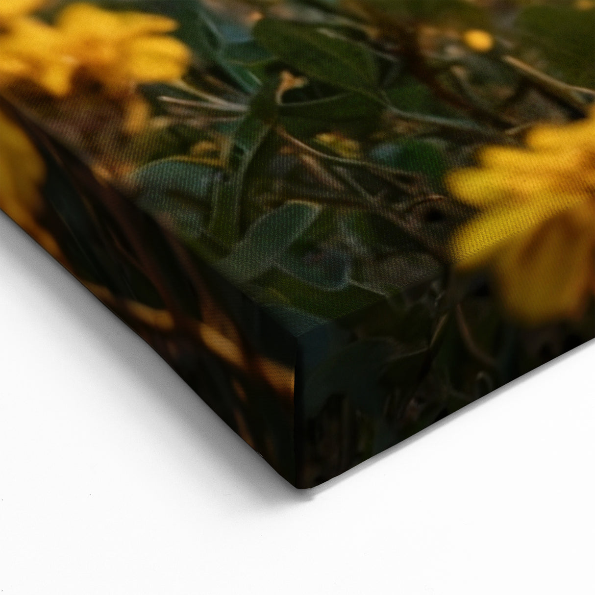 Cougar Wall Art - Elegant Wildlife Canvas Print with Sunset Glow