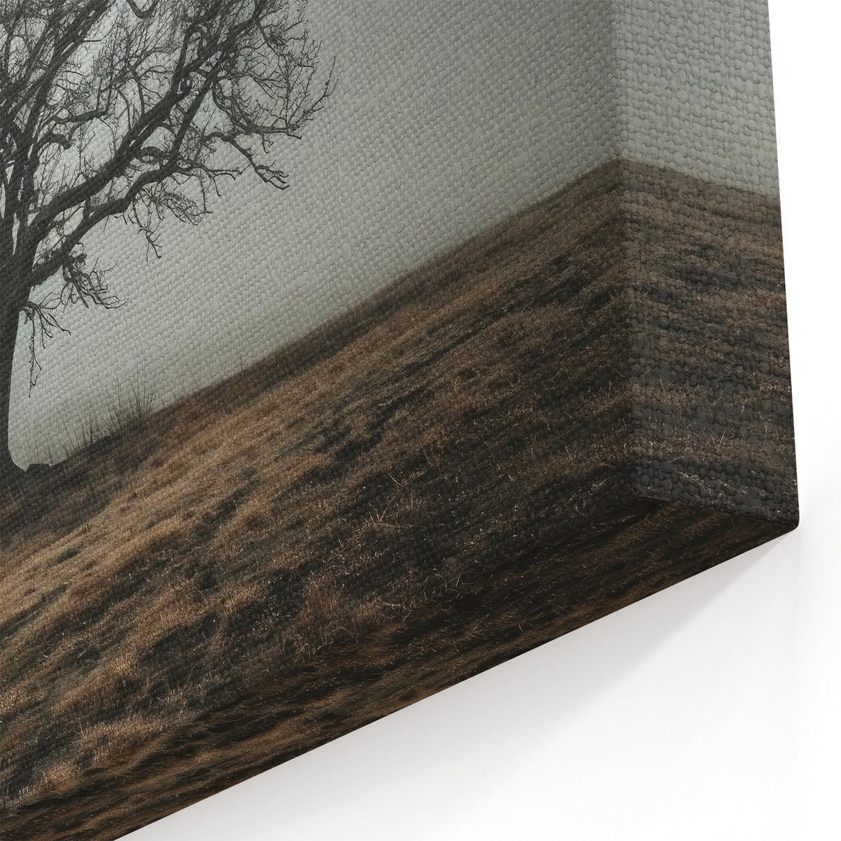 Solitary Tree in Fog Office Wall Art – Modern Corporate Decor