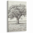 Vintage Oak Tree Sketch Art – Classic Monochrome Nature Print