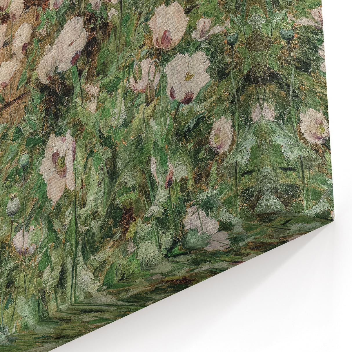 Vintage Poppy Field Art - Antique Floral Landscape Canvas