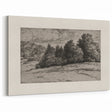 Vintage Landscape Etching - Forest Trees Sketch Canvas