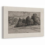 Vintage Landscape Etching - Forest Trees Sketch Canvas