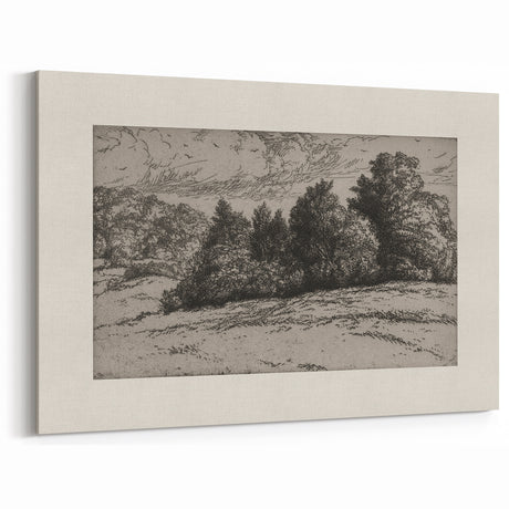 Vintage Landscape Etching - Forest Trees Sketch Canvas